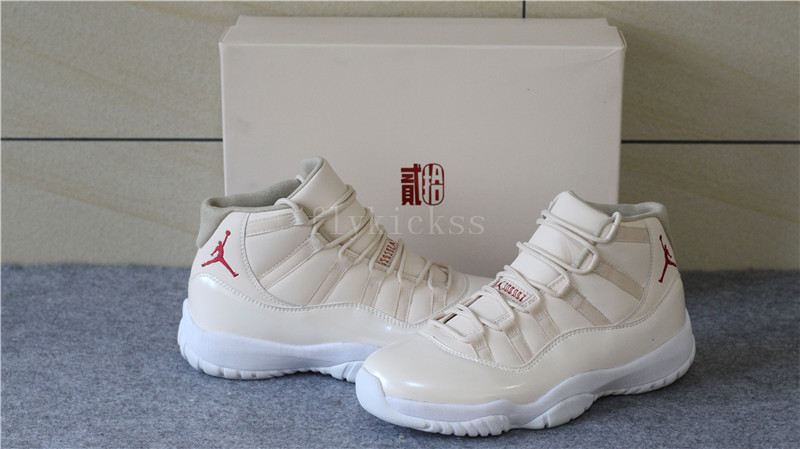 Air Jordan 11 20th Anniversary